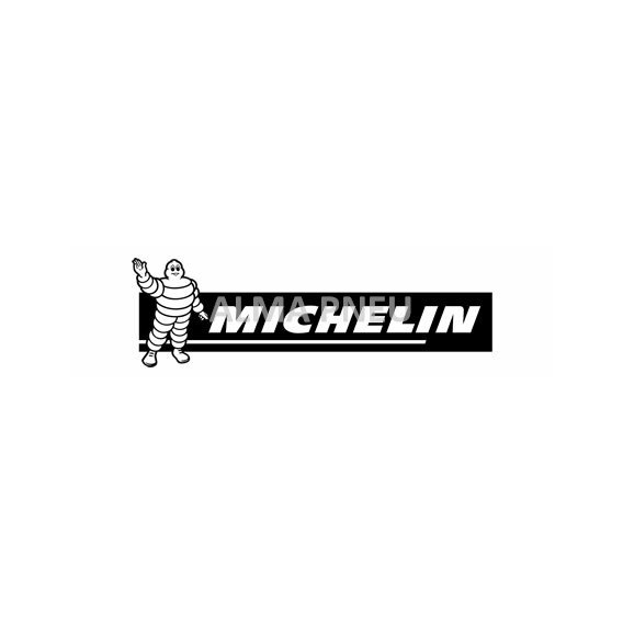 michelin.jpg