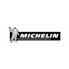 Michelin X LINE ENERGY T 385/65 R22,5 160K